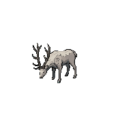 Сонная отара — Idle, ЮЗ