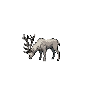 Сонная отара — Idle, З